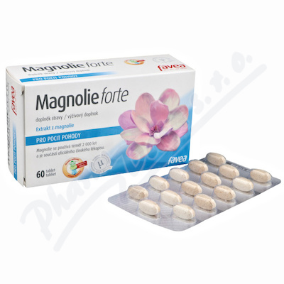 Magnolie forte tbl.60