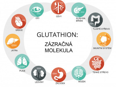 Glutation – substancja nieodłącznie związana z organizmem i bardzo ważna, ale nieznana dla większości z nas.